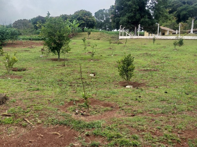 ÁREA COM PRODUÇÃO DE LEITE
