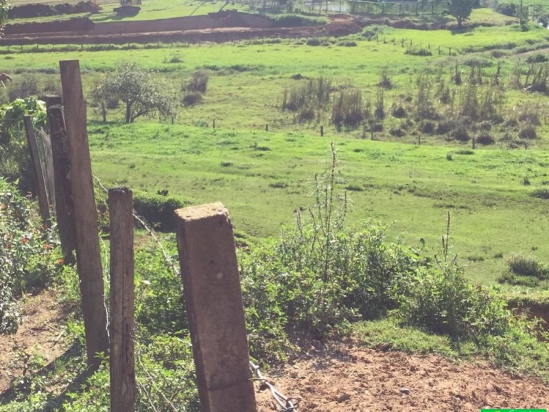 ÁREA NO VEREDA
