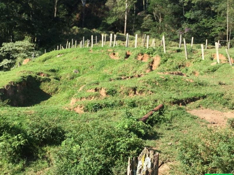 ÁREA NO VEREDA