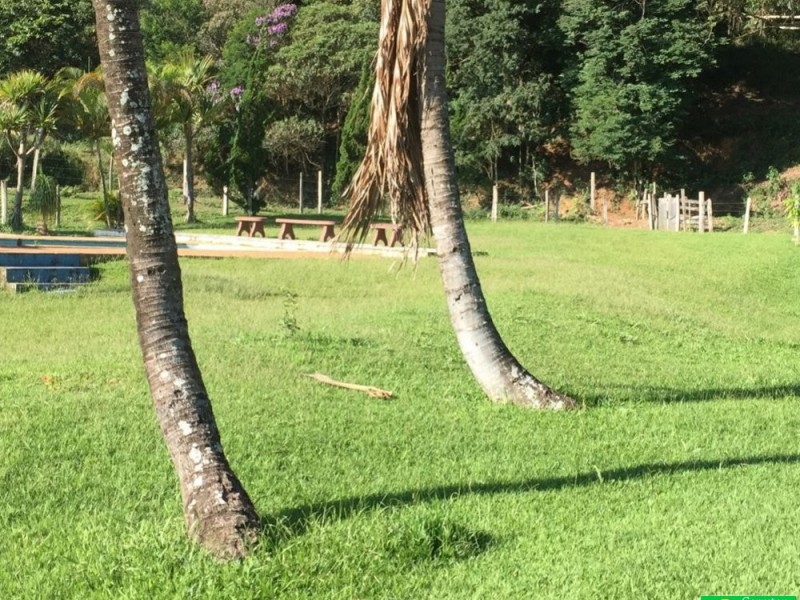 ÁREA NO VEREDA