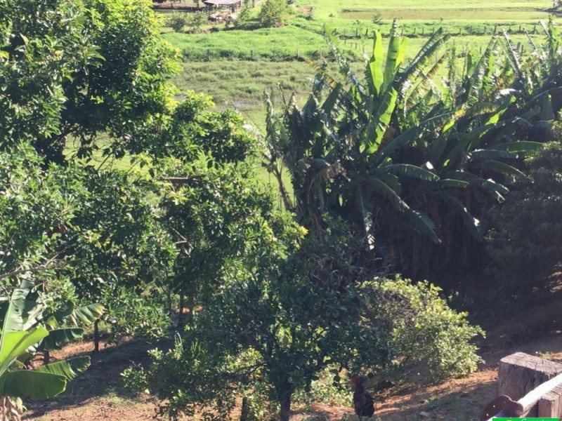 ÁREA NO VEREDA