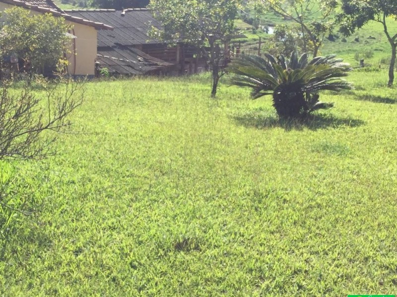 ÁREA NO VEREDA