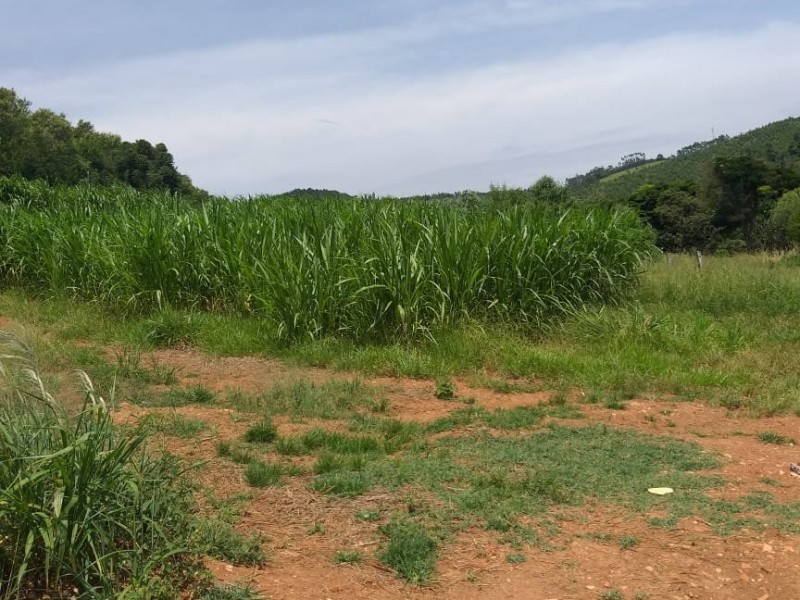 A´REA RURAL CARNEIROS