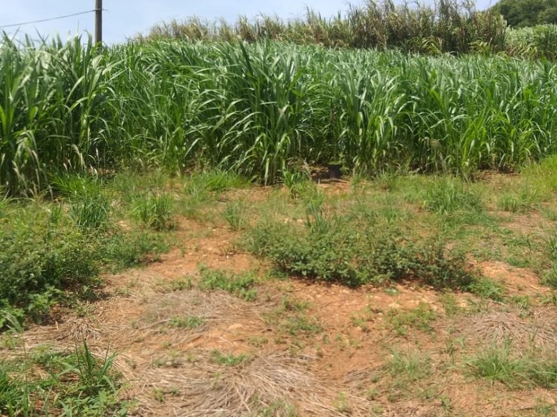 A´REA RURAL CARNEIROS