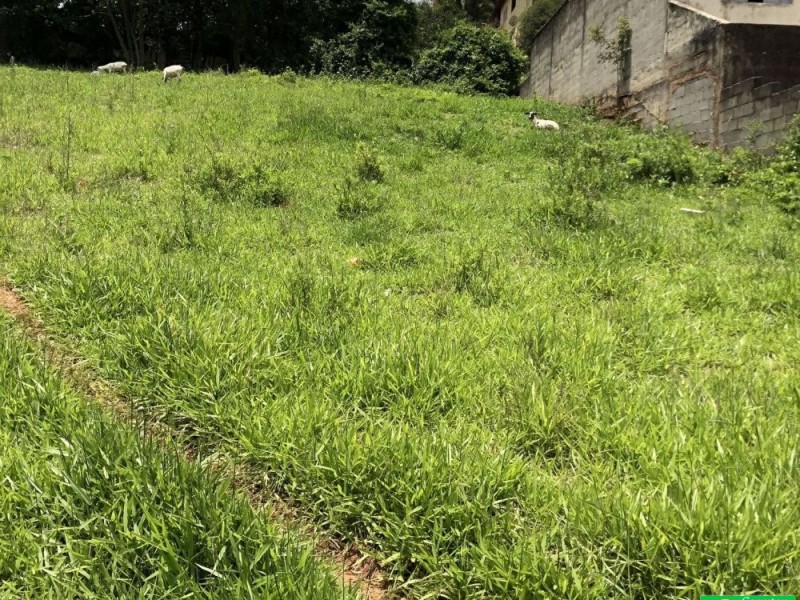 TERRENO PRÓXIMO AO CENTRO 