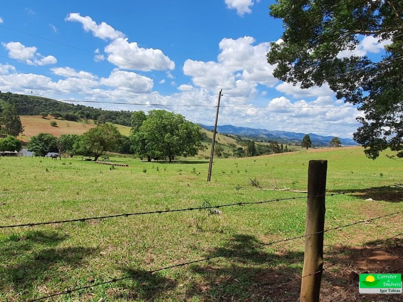 OURO FINO PRODUÇÃO LEITE