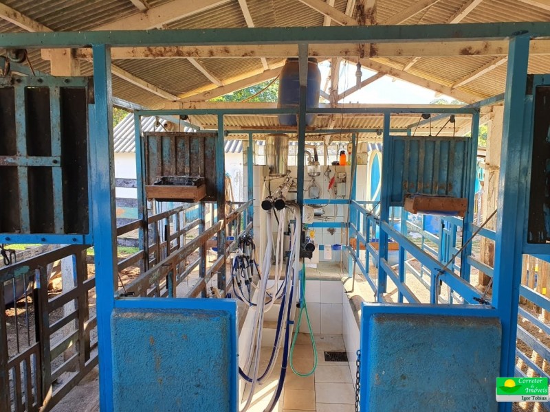 OURO FINO PRODUÇÃO LEITE