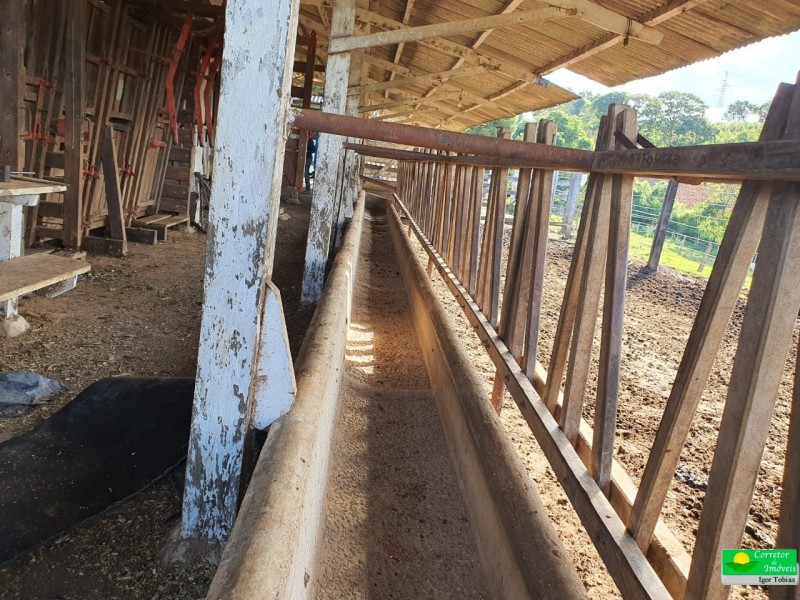 OURO FINO PRODUÇÃO LEITE