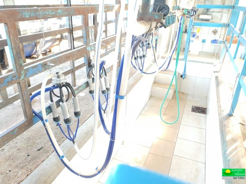 OURO FINO PRODUÇÃO LEITE