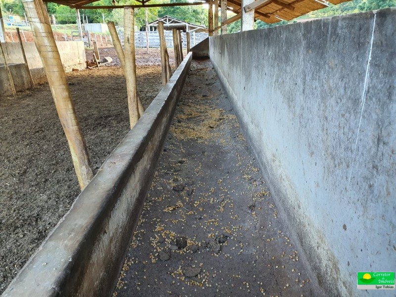 OURO FINO PRODUÇÃO LEITE