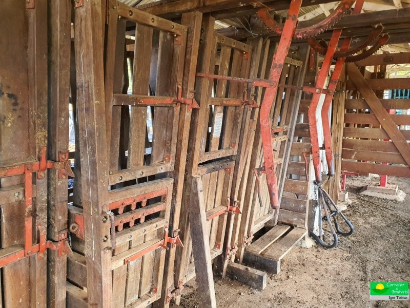 OURO FINO PRODUÇÃO LEITE