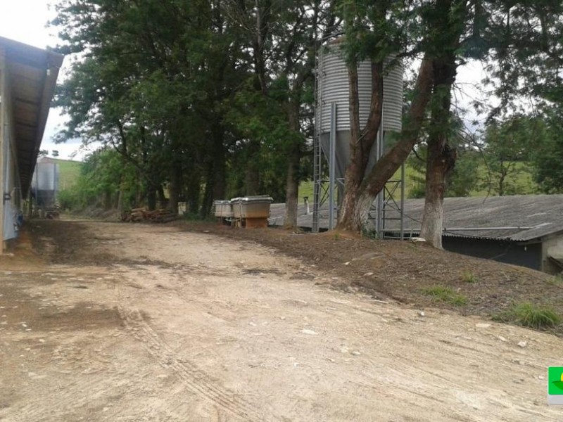 SITIO + GRANJA 