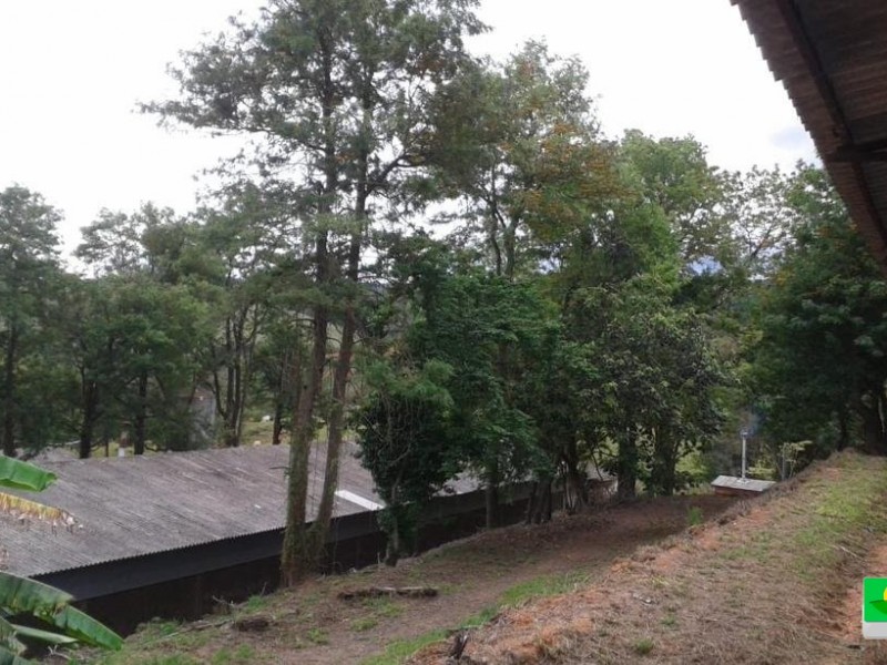 SITIO + GRANJA 
