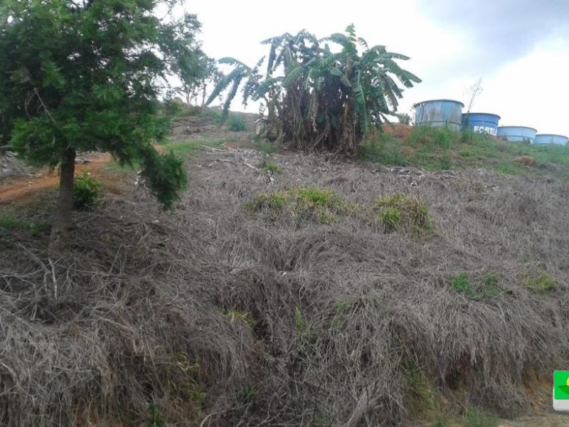 SITIO + GRANJA 