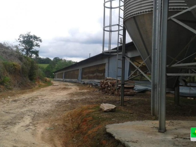 SITIO + GRANJA 