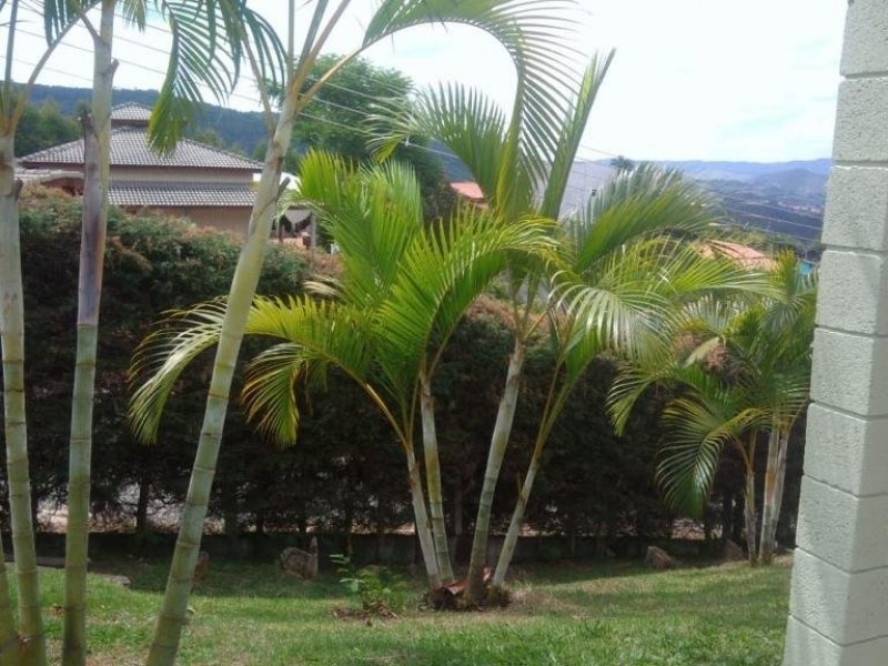 VENDIDA VENDIDA