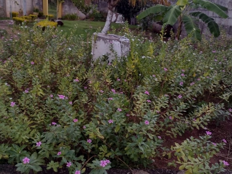 CHACARÁ ARRAIAL 520M²