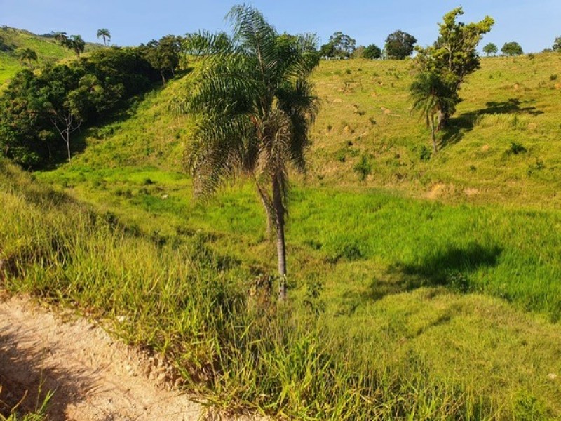 SITIO TARUMÃ