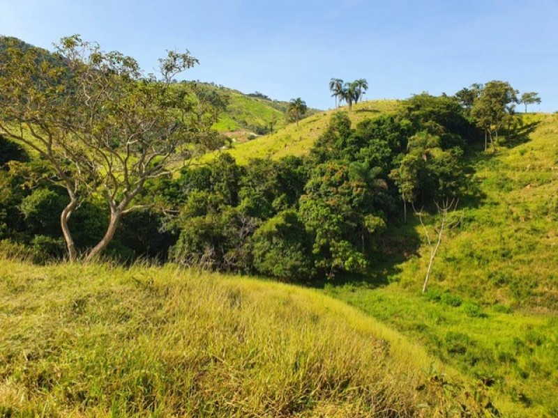 SITIO TARUMÃ