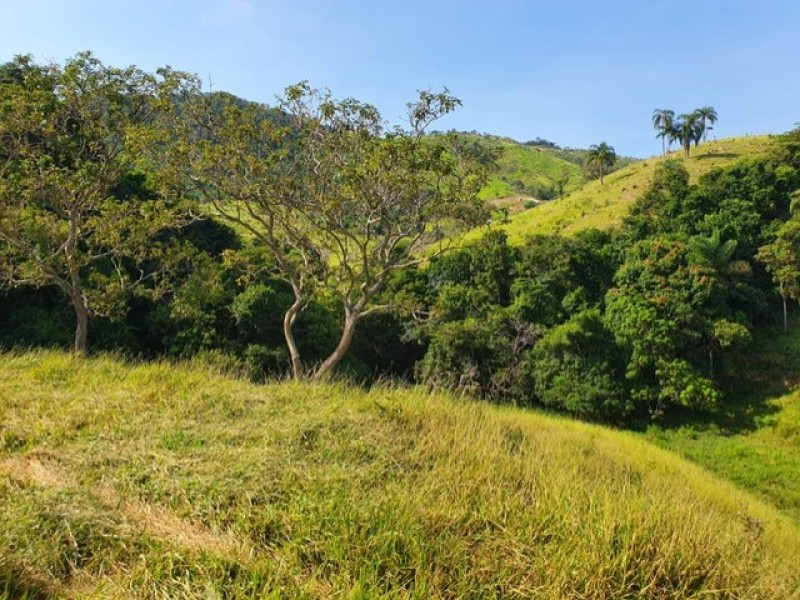 SITIO TARUMÃ