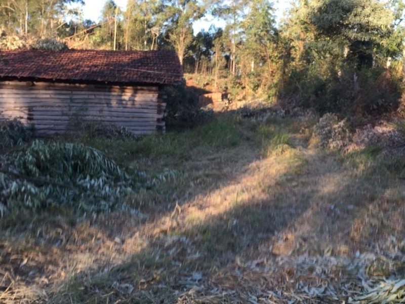 SITIO CASA DE EUCALIPTO