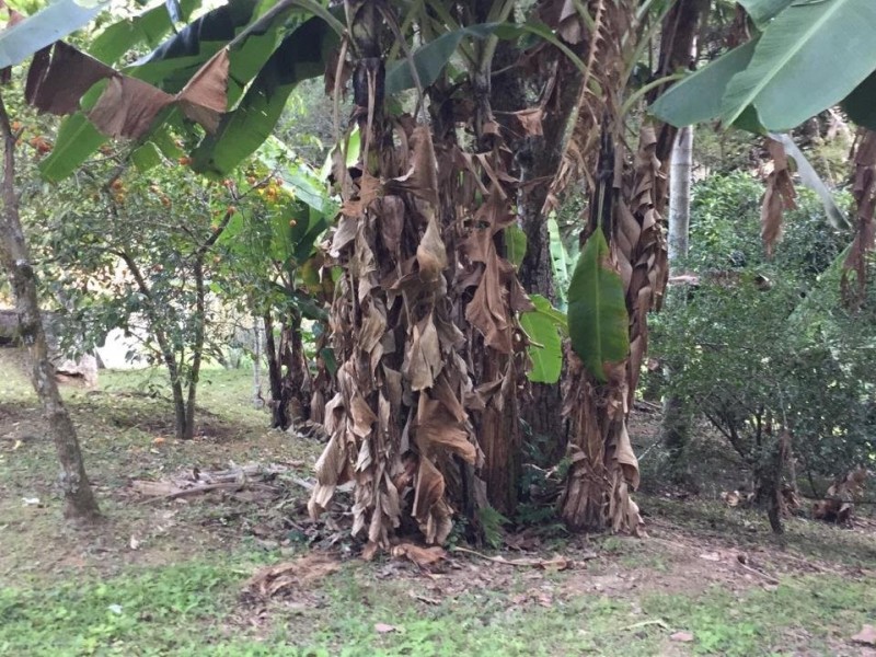 SITIO P/ PESQUEIRO 