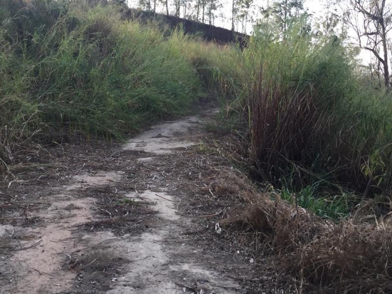 SITIO MARGEIA RODOVIA 