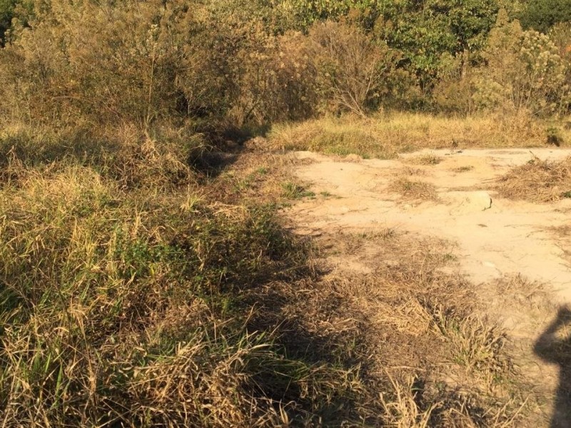 SITIO MARGEIA RODOVIA 