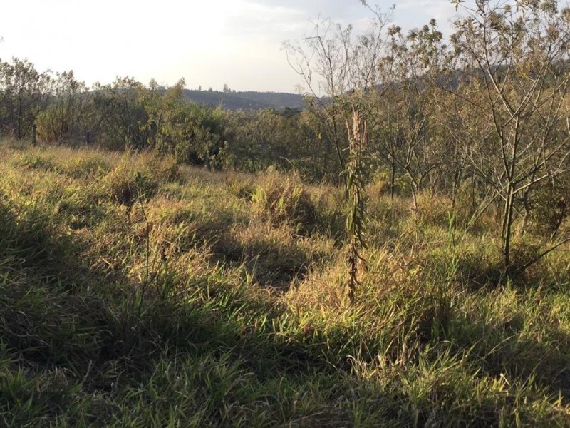SITIO MARGEIA RODOVIA 