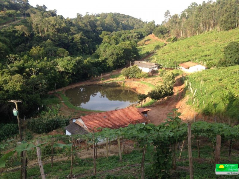 SITIO MOENDA