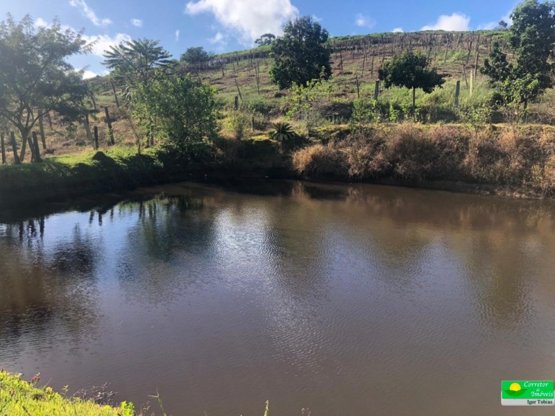 SITIO SERTÃOZINHO 