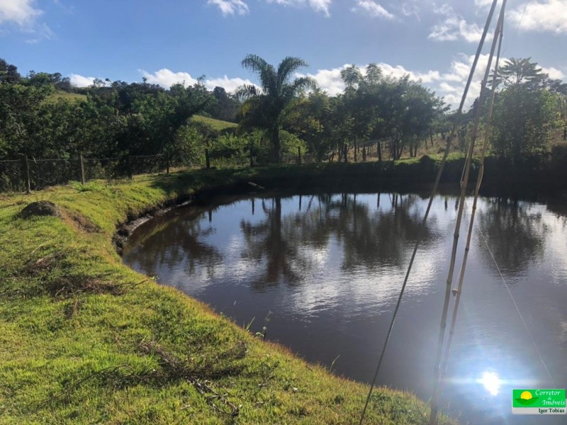 SITIO SERTÃOZINHO 