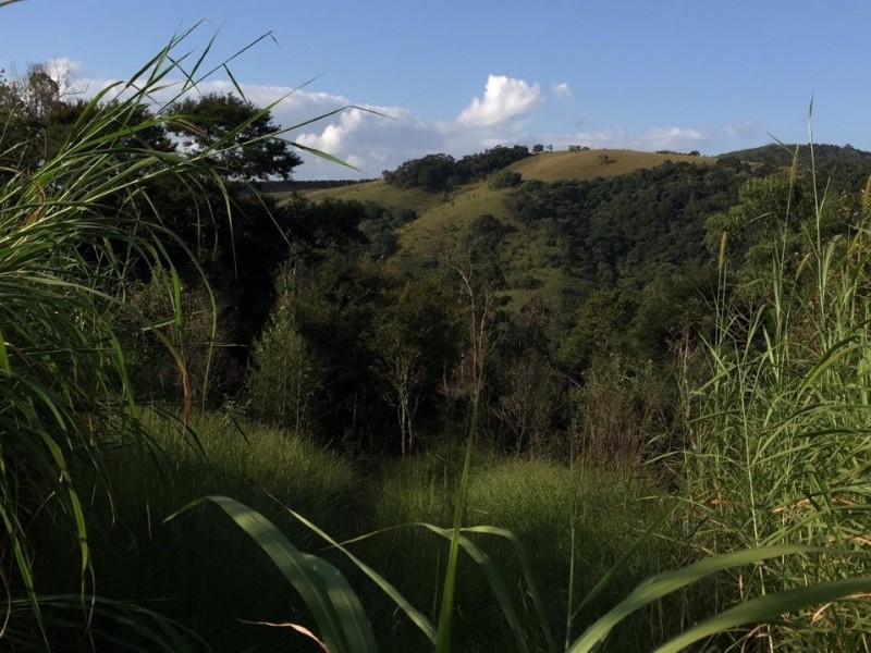 SITIO Á 1KM ASFALTO