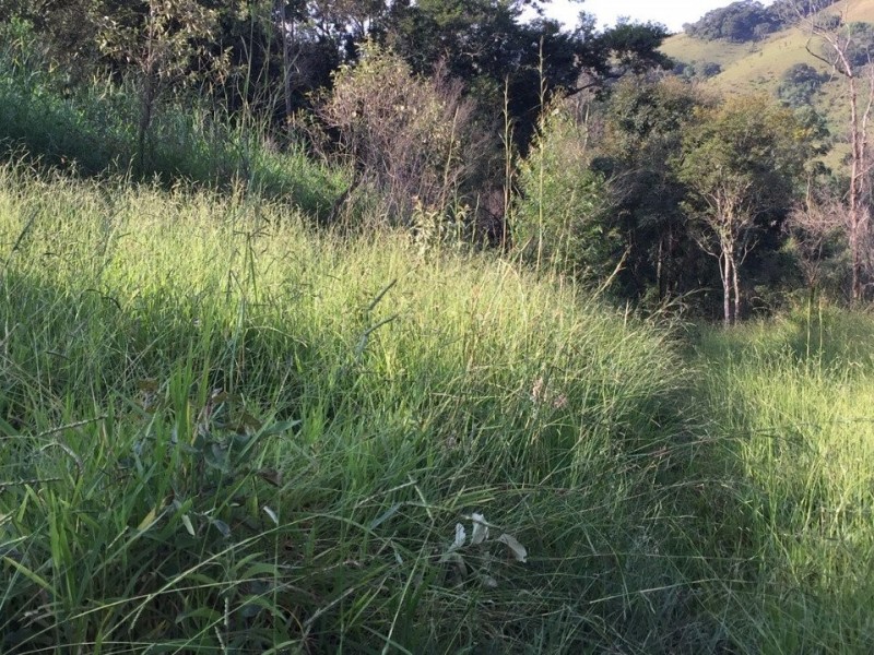 SITIO Á 1KM ASFALTO