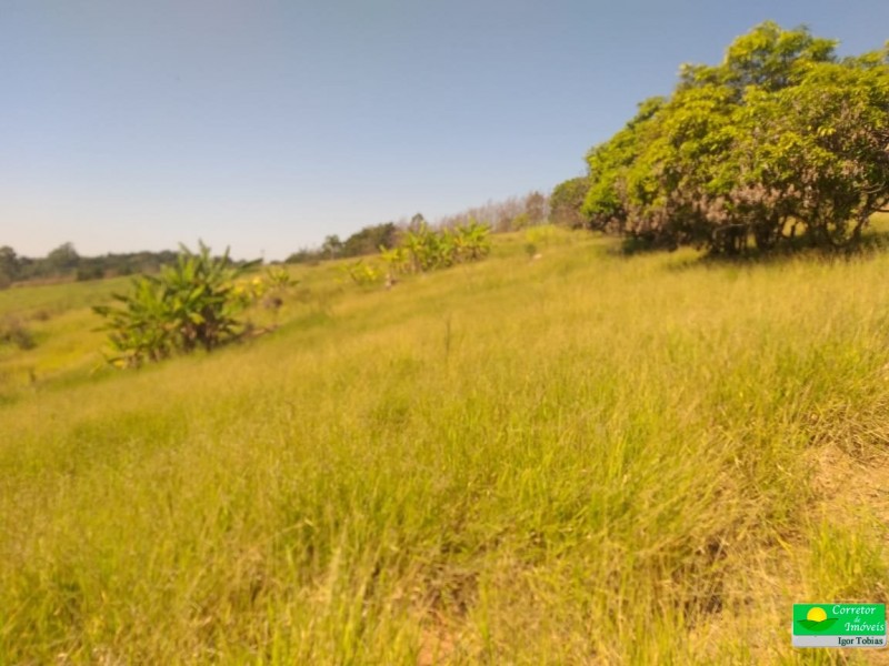 SITIO DA ESTUFA