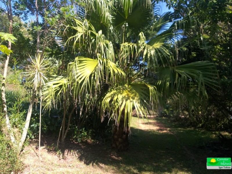 SITIO DA ESTUFA
