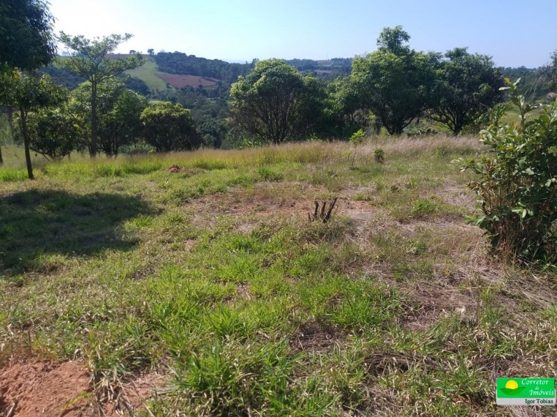 SITIO DA ESTUFA