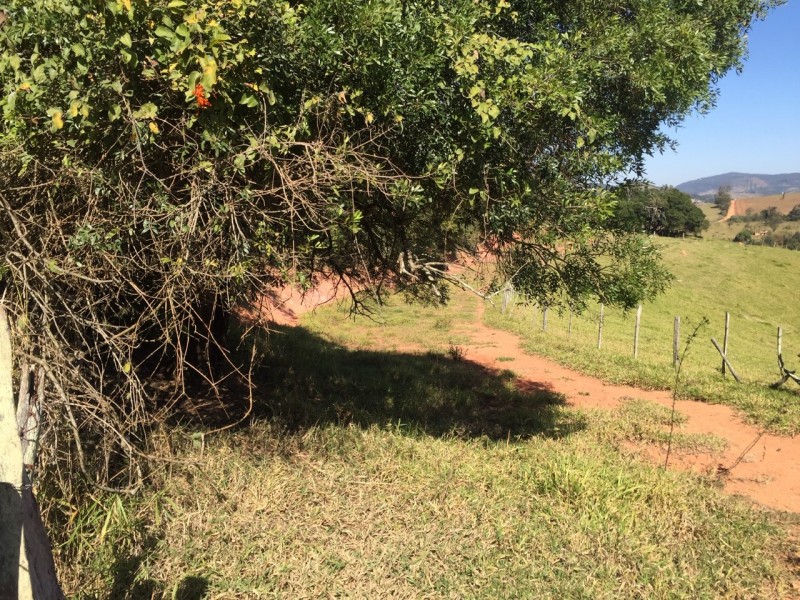 SITIO ÁREA NUA 