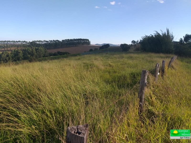 SITIO + BEIRA DO ASFALTO