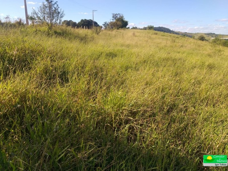 SITIO Á POUCOS METROS DO ASFALTO