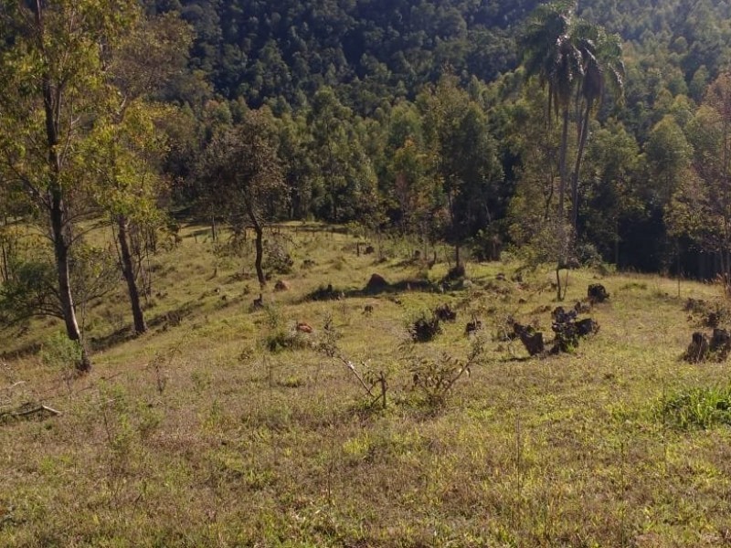 SITIO FORMADO EM PASTO