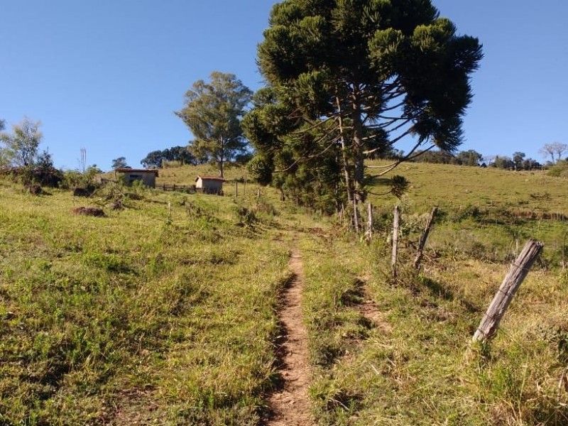 SITIO FORMADO EM PASTO