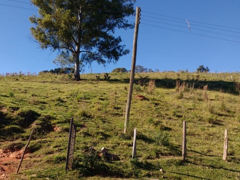 SITIO FORMADO EM PASTO