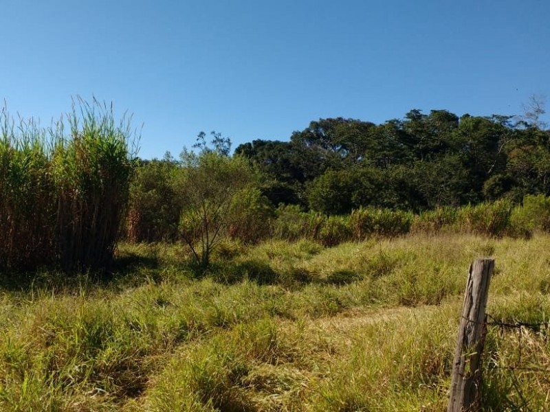 SITIO FORMADO EM PASTO