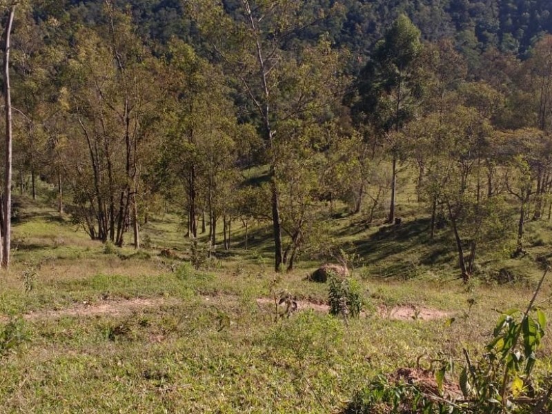 SITIO FORMADO EM PASTO