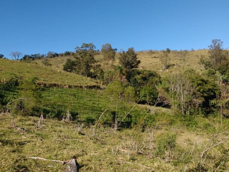 SITIO FORMADO EM PASTO