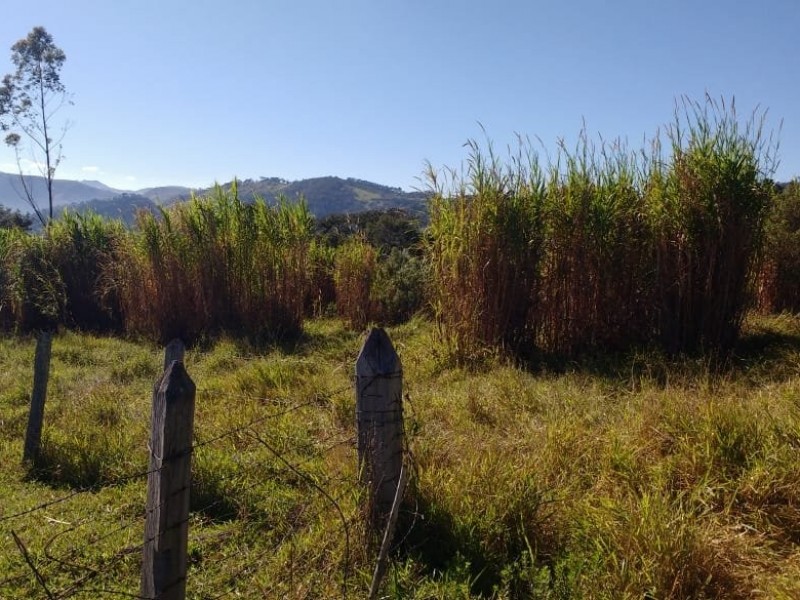 SITIO FORMADO EM PASTO