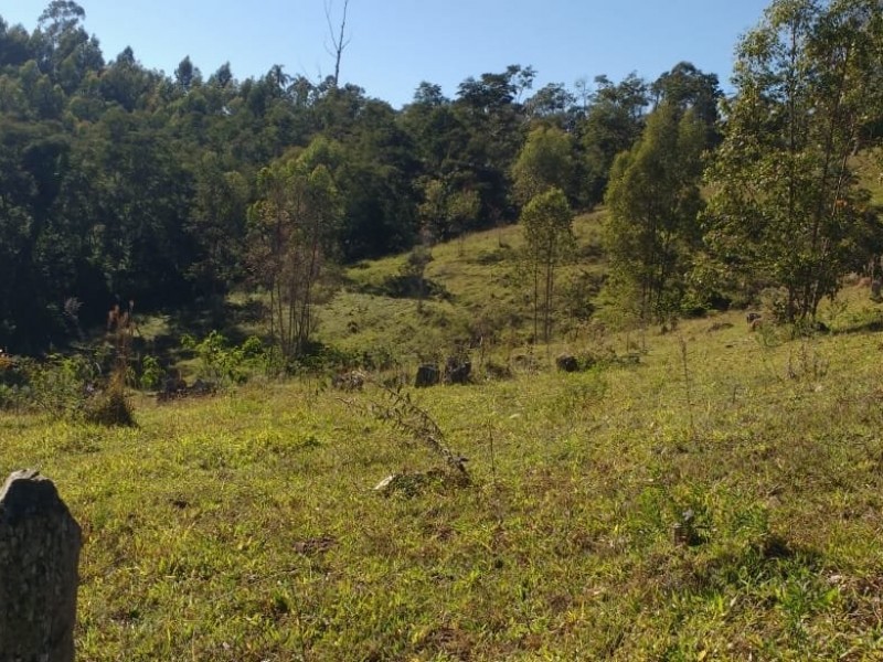 SITIO FORMADO EM PASTO