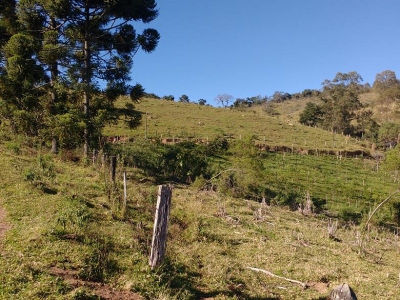SITIO FORMADO EM PASTO