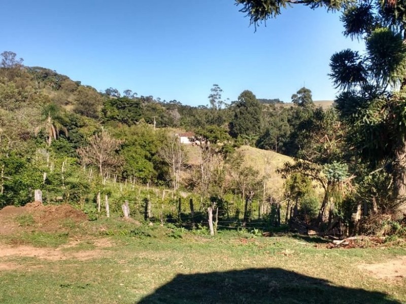 SITIO FORMADO EM PASTO